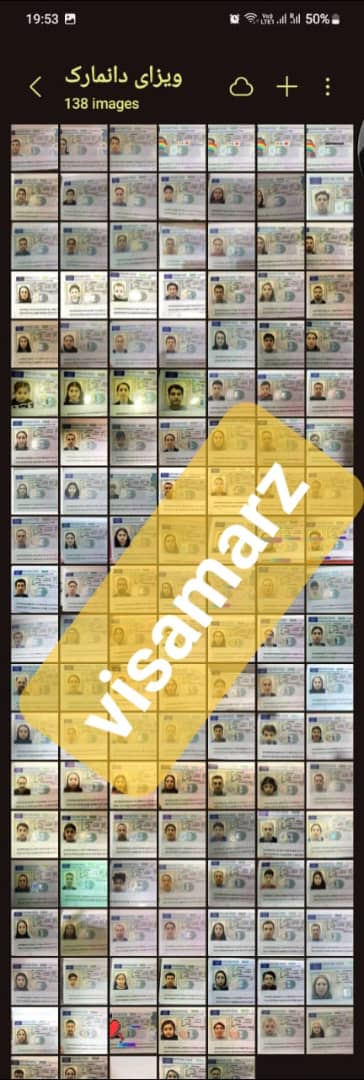 ویزای مولتی تایپ D شینگن